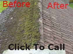 Moss Cleaning Service Victoria BC 